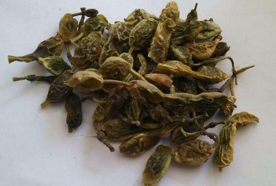 ���ǲ�ĸ���������� ���ǲ�ʲô�˲��ܺ�