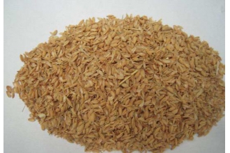 ���Ǻ��׿������� �׿��Ĺ�Ч