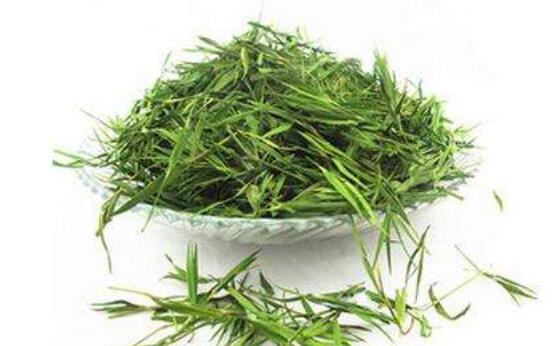 竹叶青茶怎么泡 竹叶青茶的正确泡法
