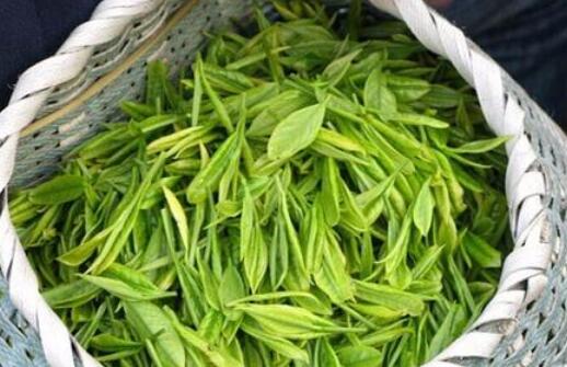 竹叶青茶特点 竹叶青茶属于什么档次