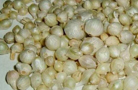 ޯ����ҩ��Щ�˲��ܳ� ��ޯ�׵ĸ���������Щ