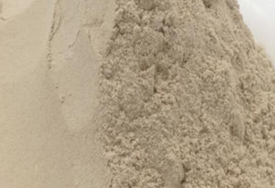 ɳ�η���ô�� ɳ�η۵�ʳ�÷���