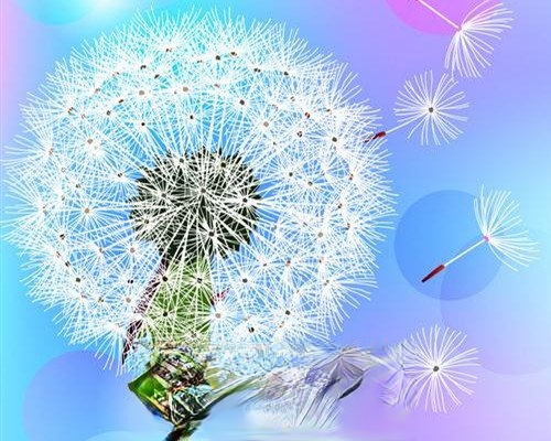�ѹ�Ӣ��