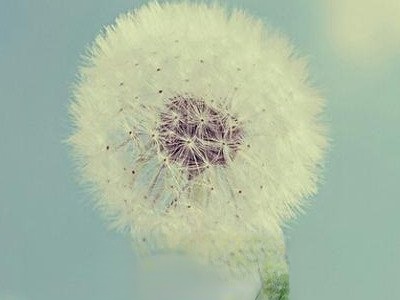 �ѹ�Ӣ