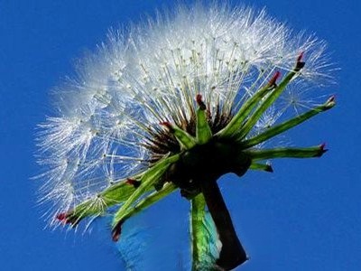 խ���ѹ�ӢͼƬ խ���ѹ�Ӣ�Ĺ�Ч������