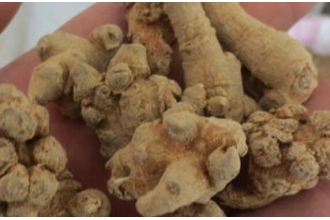 �����ߺ����ߵ����� ���ߵĹ�Ч