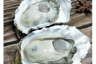 ĵ�ú��������� ��ĵ�õĺô�