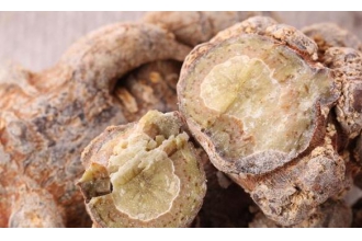 �������ߺ���ͨ���ߵ����� �������ߵĳԷ�