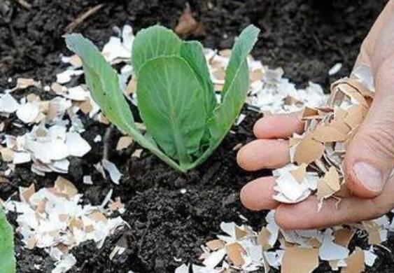 ��������ô������ ��������������ȷ������