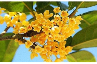 �𻨵���ֳ������ע����������Щ