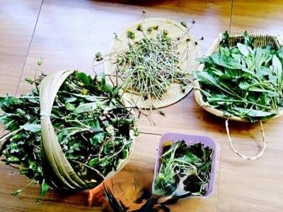  �ѹ�Ӣ����Щ�˲��˺� ���ں��ѹ�Ӣ�踱����