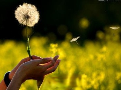  �ѹ�Ӣ�����ô�����