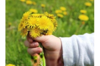 �ѹ�Ӣ�������ˮ�ݽ���ʲô��Ч