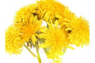 �ѹ�Ӣ���Ĺ�Ч������ ���ѹ�Ӣ���ĺô�