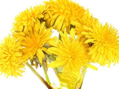 �ѹ�Ӣ���Ĺ�Ч������