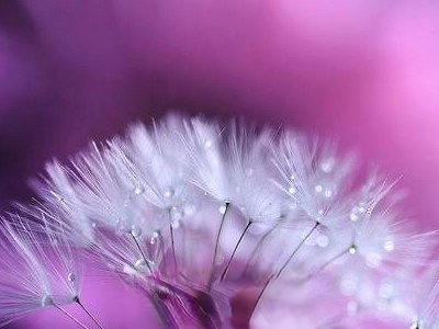 �ѹ�Ӣ������ʲô�ô� �ѹ�Ӣ������Σ��