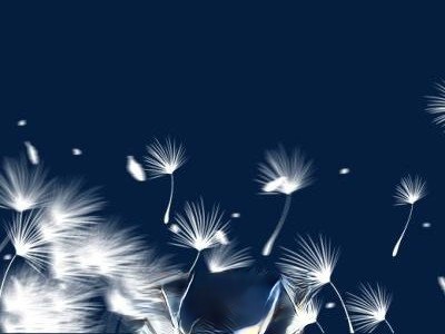 ��ɫ�ѹ�Ӣ��ʲô��Ч