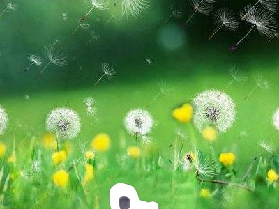  ��Ե�ѹ�Ӣ�Ĺ�Ч������