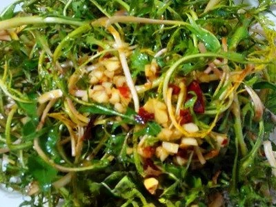  ���Ŷ�����ô���ó� ���Ŷ��˳Է���ȫ