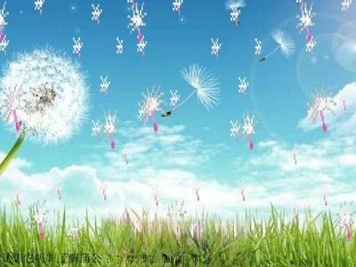 �ѹ�Ӣ�ĳԷ�����