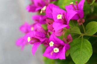 ����÷������ֳ������ע����������Щ