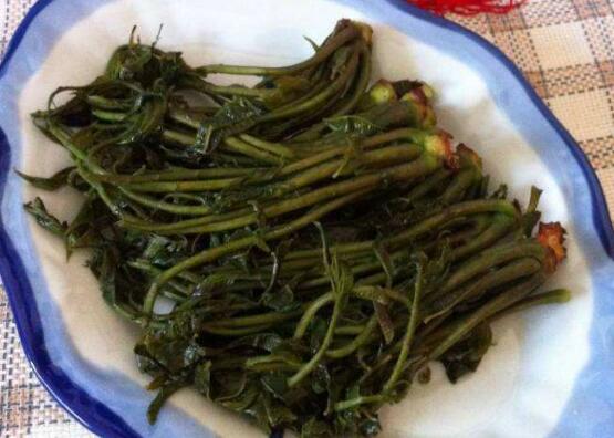 春芽咸菜的腌制方法窍门
