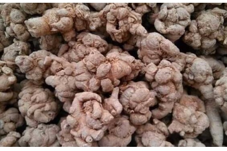 �����ߺͰ�������ʲô���� ���ߵĹ�Ч