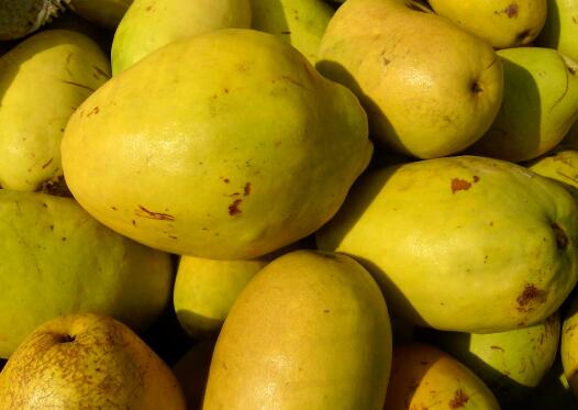 ��ҩ��ľ�ϵĹ�Ч������