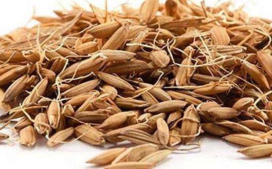 ��ѿ�Ĺ�Ч�����ü�ҩ�ü�ֵ