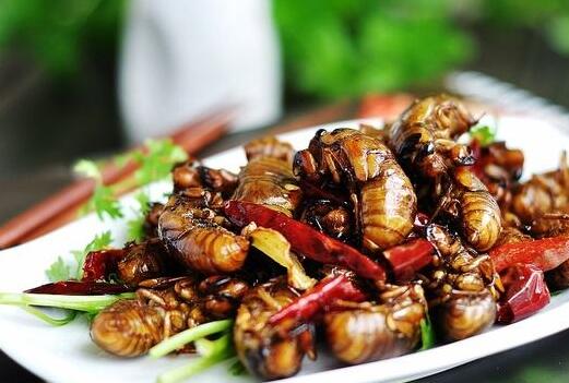 ����Ĺ�Ч������