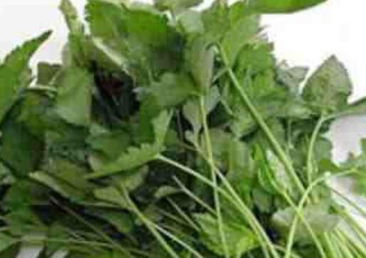 Ѽ���۵Ĺ�Ч������