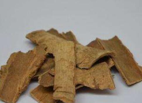 Ѽ��ľƤ�Ĺ�Ч������