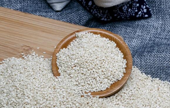 ��֥����ô���ó�����Ӫ��