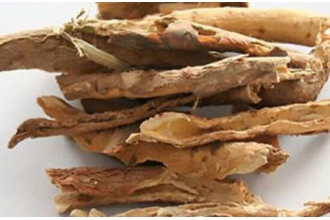 ���Ƥ�����ӵ�����