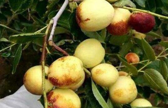 ʲô������ ������ص�͹�Ч