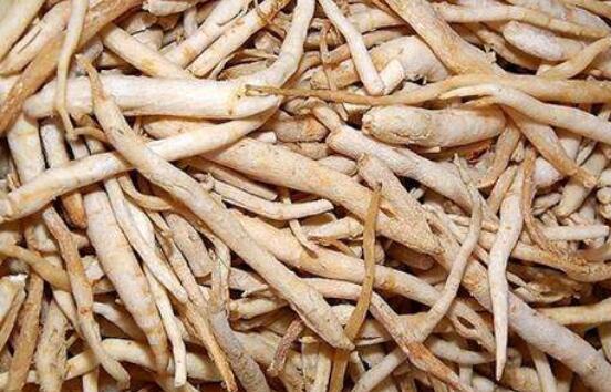 ��ɳ�κ���ɳ�ε����� �Ա�ɳ�εĺô�