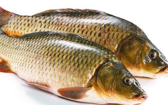 ����Ͳ��������