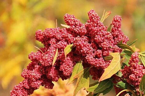 ��Щ�˲��ʺϳ�޼�� ��޼��ĺô�