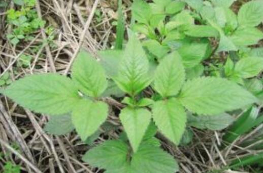 ����ݵĹ�Ч������ ������ܿ�����