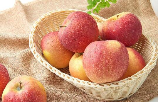 ʲôʱ���ƻ����� ��ƻ����ʲô�ô�