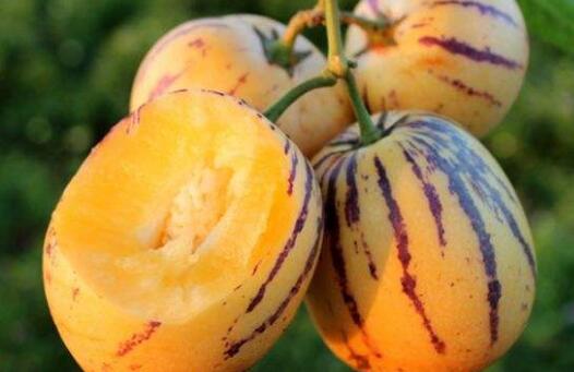 ���˲ι��ĺô��ͽ�������