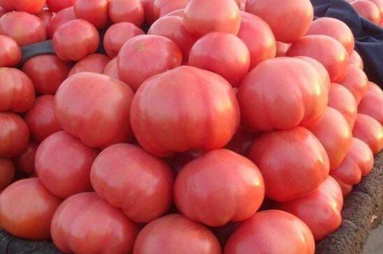 ���������ĺô��ͻ��� ��������ʳ������