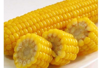 ׻ᷢ