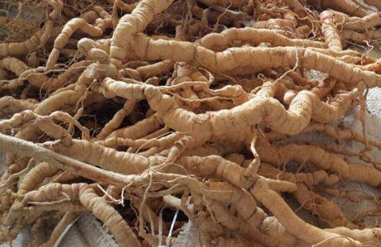 ���ڳ԰����ĺ���