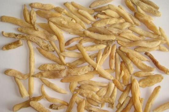 ɽ�󶬺��󶬵�����