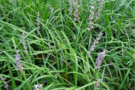 �ؽײݺ��󶬵����� ��������󶬺��ؽײ�