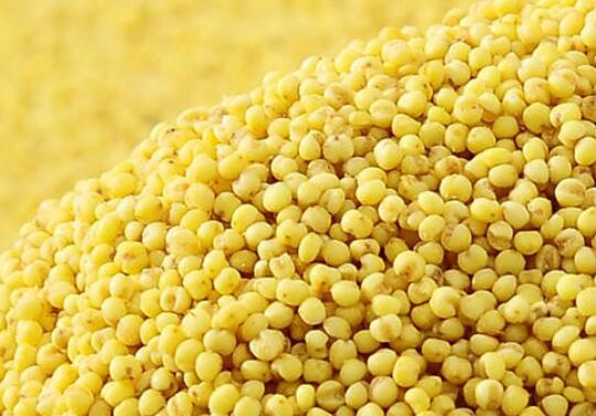 ޼������ӵ�����