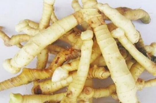 ���ڳ�����ĸ����� ʲô�����ܳ�����