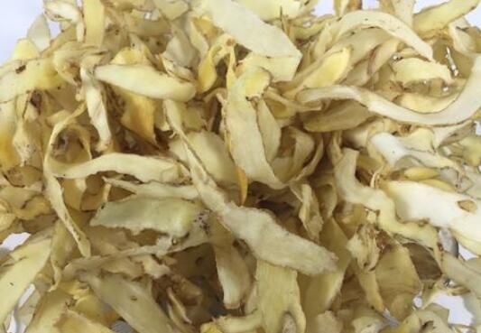 ���ڳ�����ĸ����� ʲô�����ܳ�����