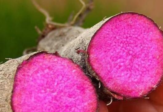 ë���Ĺ�Ч������ ë����ʲô�ó�